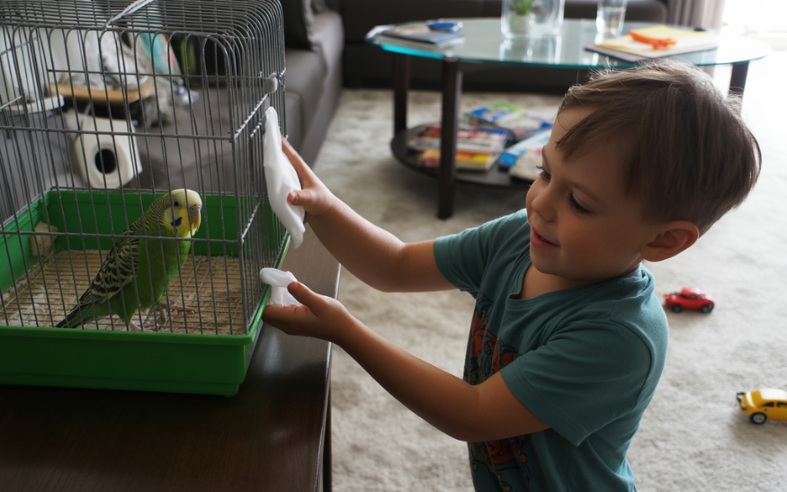 Papoušci a soužití s dětmi